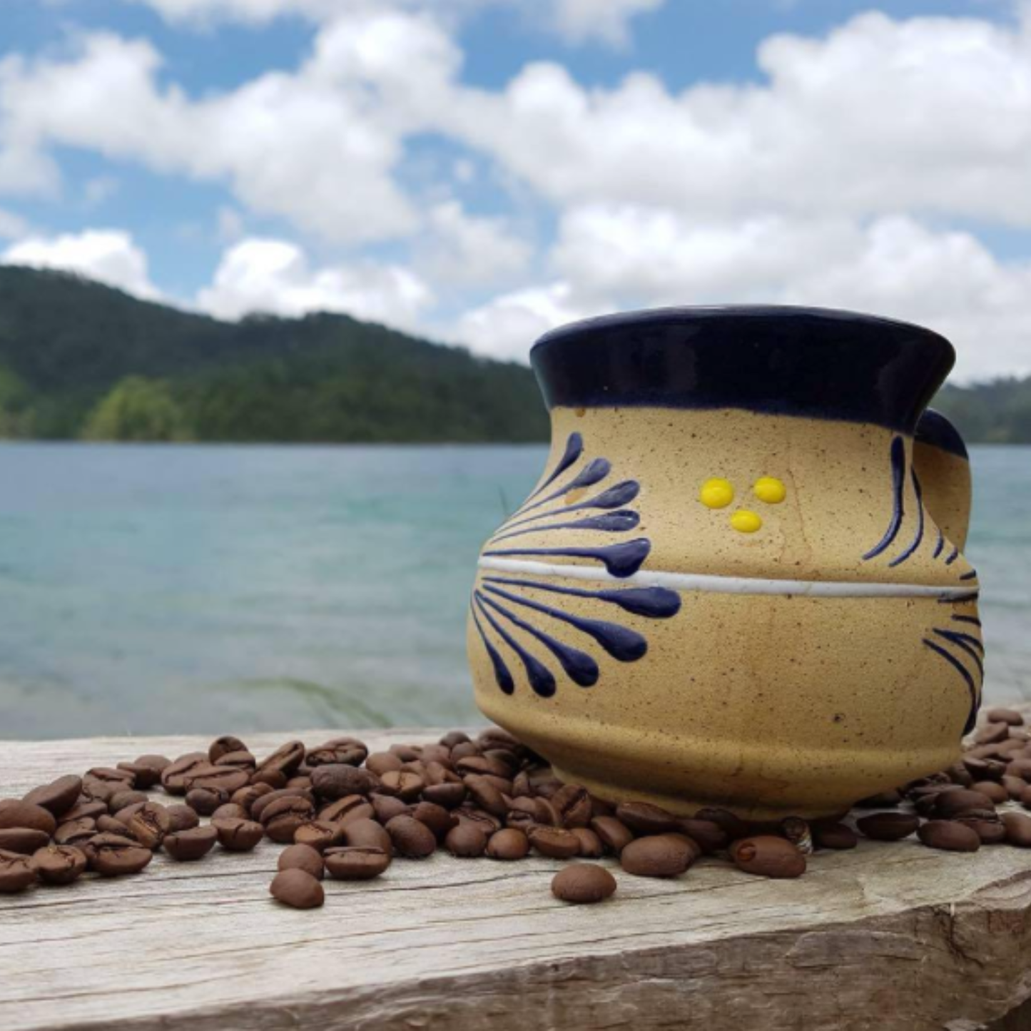 Cafe El Quetzal La Chiapaneca - taza de cafe de especialidad