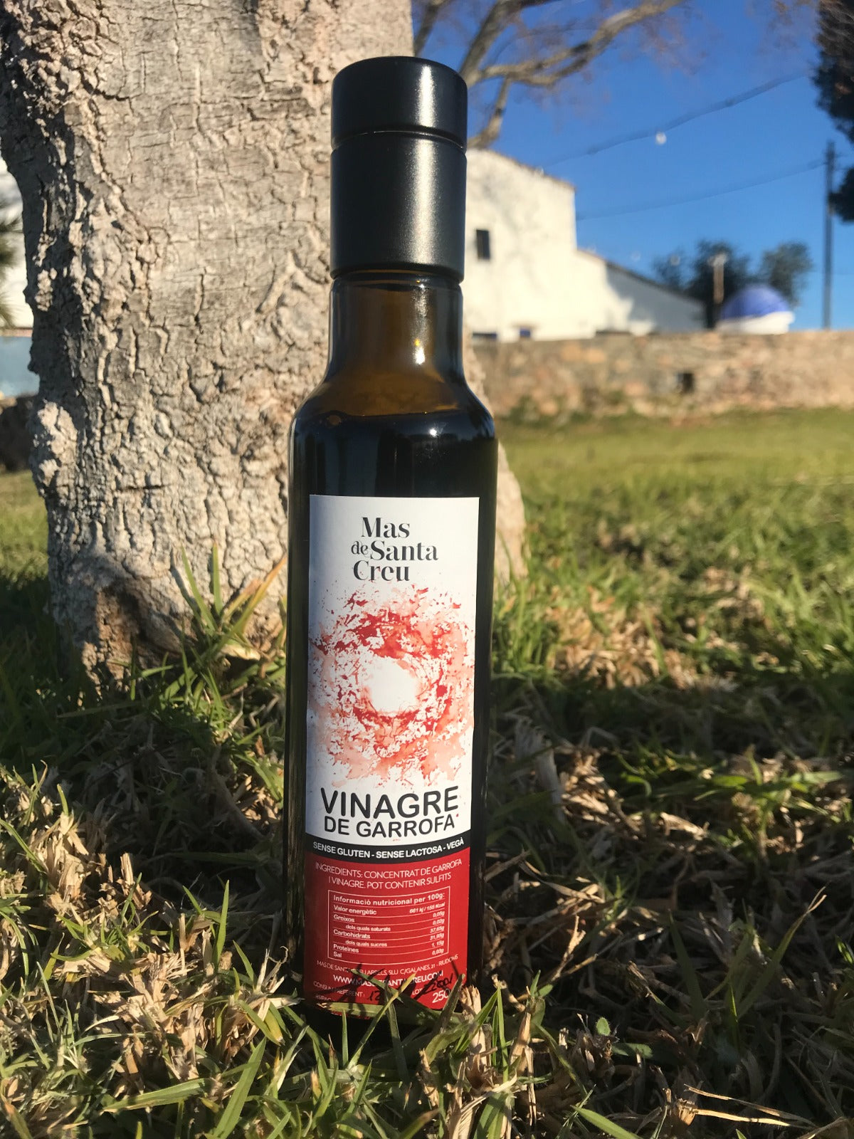 Vinagre ecológico de algarroba, Mas de Santa Creu.
